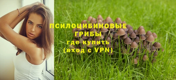 соль ск Осинники