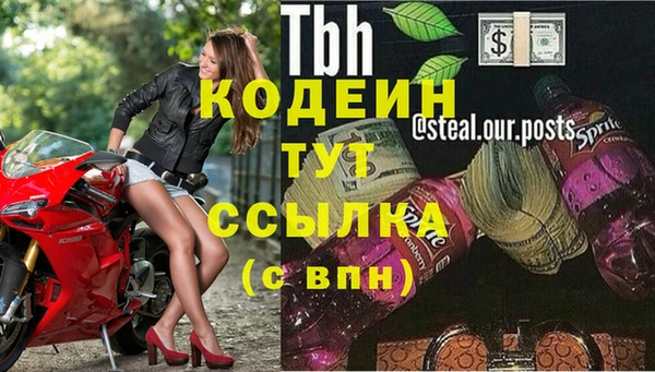 соль ск Осинники