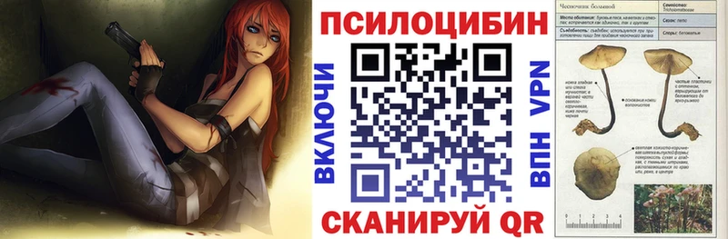 Псилоцибиновые грибы мухоморы  кракен зеркало  Щёлково 