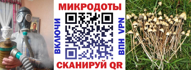 Галлюциногенные грибы мицелий Щёлково
